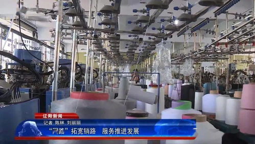 網路拓寬銷路，服務推進發展 軟件開發與技術服務的新引擎
